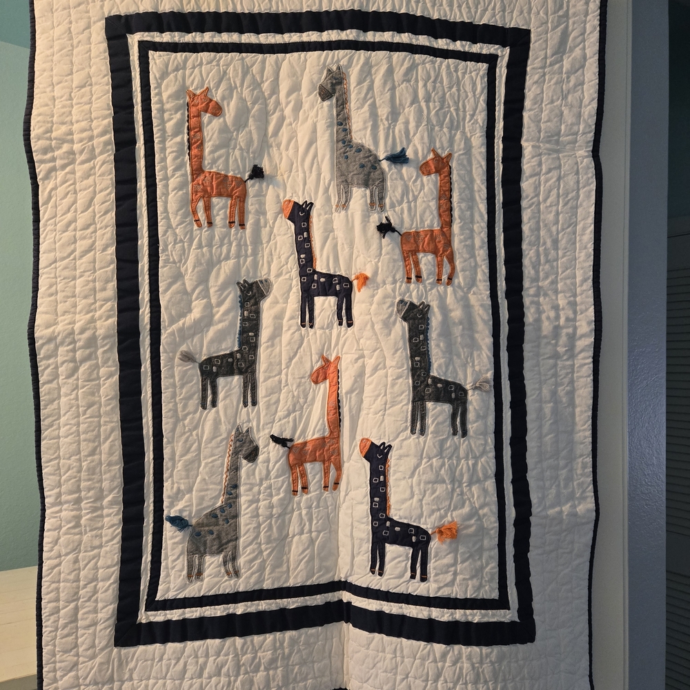 Pottery Barn Kids Organic Cotton Blanket